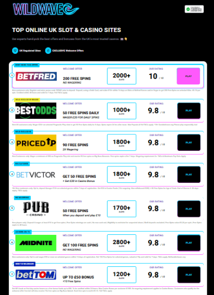 Screenshot of Wildwave website